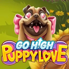 Go High Puppy Love online slot from RubyPlay – play at winrolla-casino.net