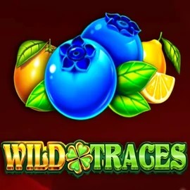 Wild Traces slot visual from Amusnet Interactive available on winrolla-casino.net